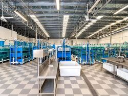 Chencharu Link (D27), Retail #627544381